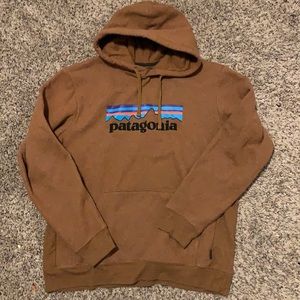Brown Patagonia Hoodie
